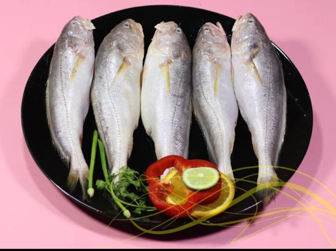 Bhola Bhetki/ভোলা ভেটকি