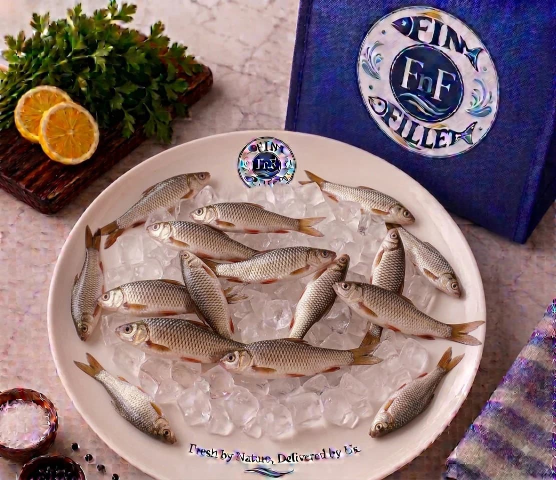 Charapona fish