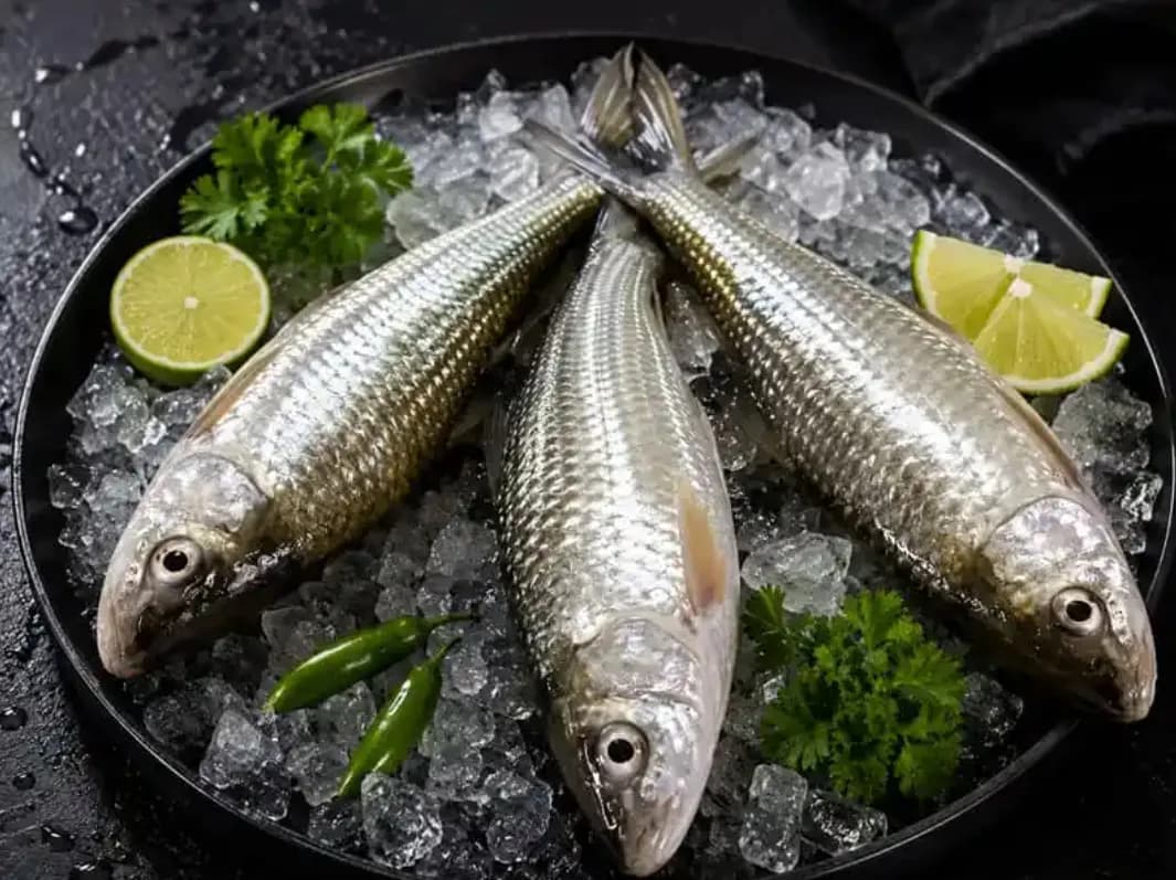 Bata Fish/বাটা মাছ