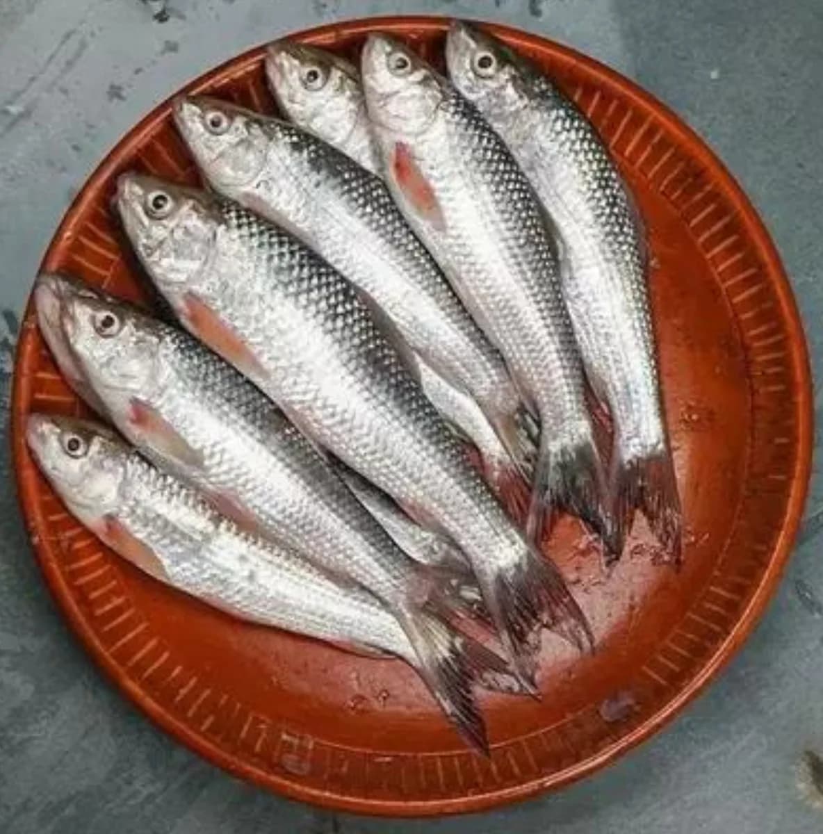 Bata medium/বাটা মাঝারি