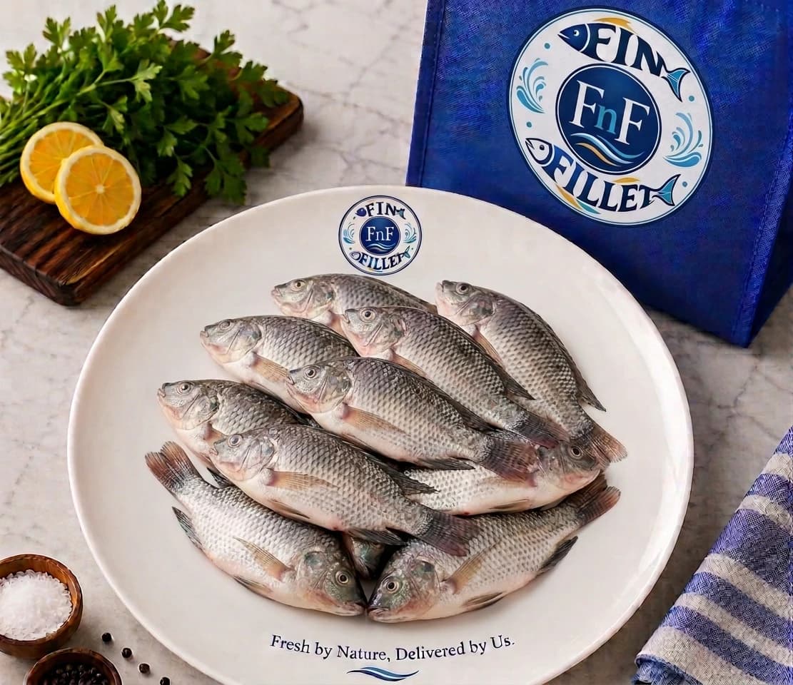 Tilapia (medium)